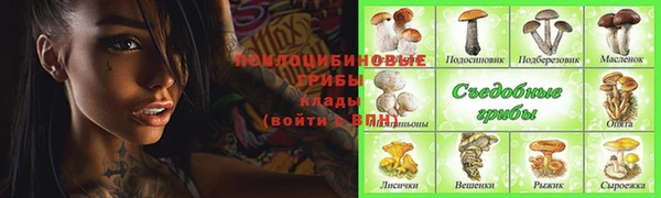 мдпв Верхнеуральск