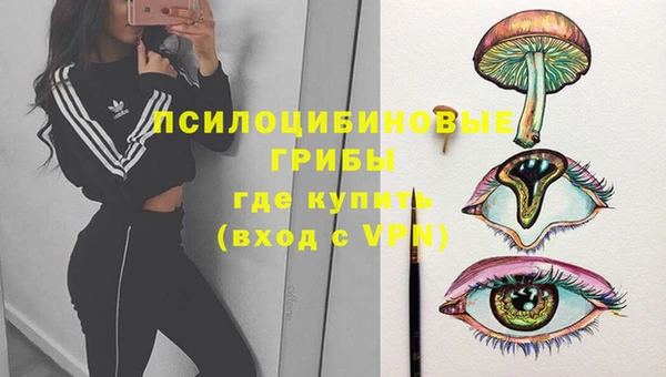 не бодяженный Бородино