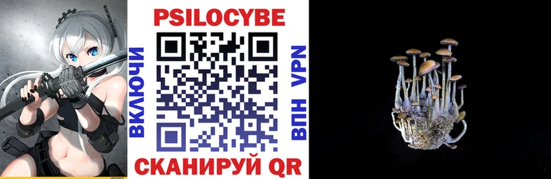 Купить  Новозыбков  Галлюциногенные грибы Psilocybine cubensis 