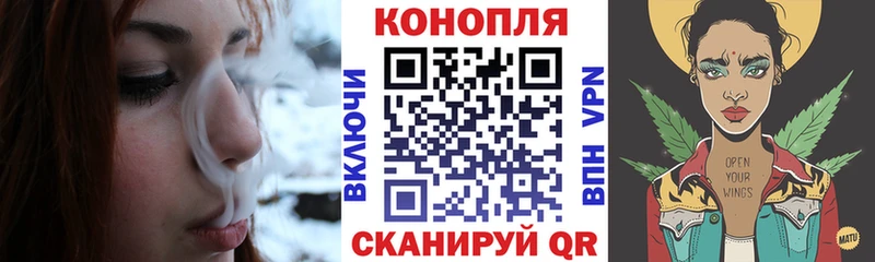Каннабис сатива  Купить закладки  Новозыбков 
